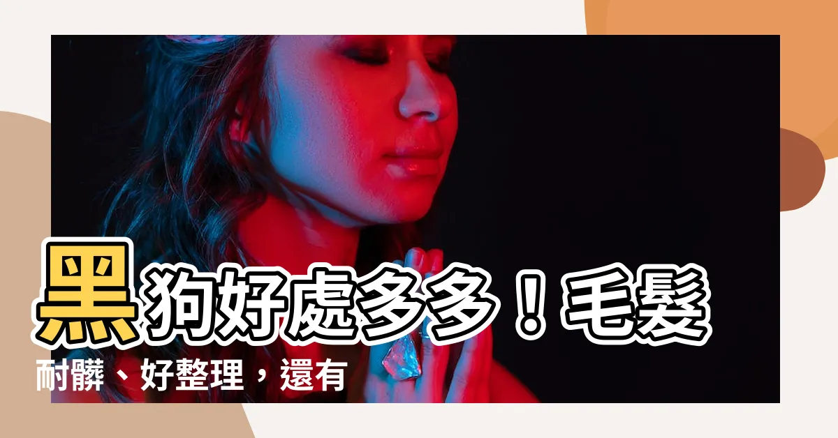 【黑狗】黑狗好處多多！毛髮耐髒、好整理，還有意想不到的秘密！