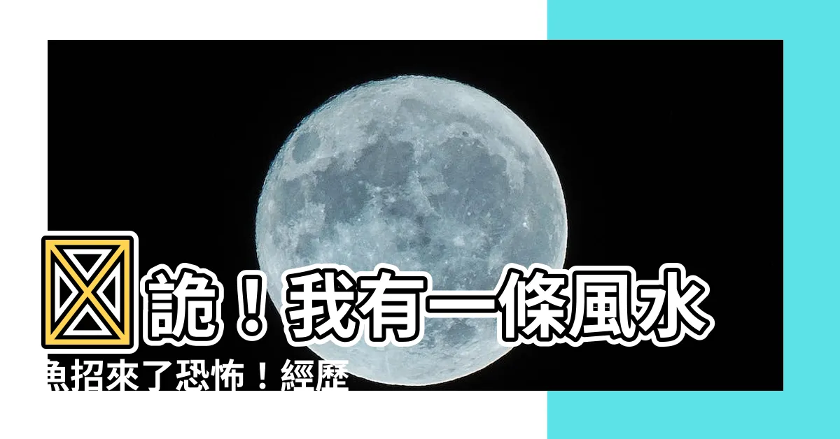 【我有一條風水魚】​詭！我有一條風水魚招來了恐怖！經歷將我嚇得毛骨悚然