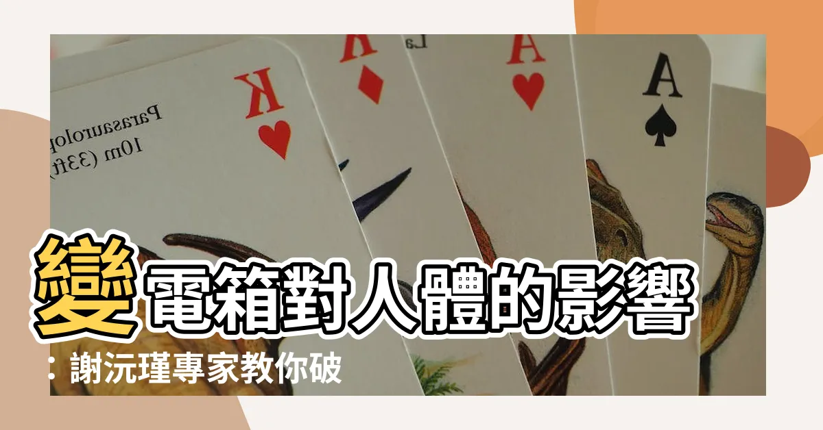 【變電箱對人的影響】變電箱對人體的影響：謝沅瑾專家教你破解迷思
