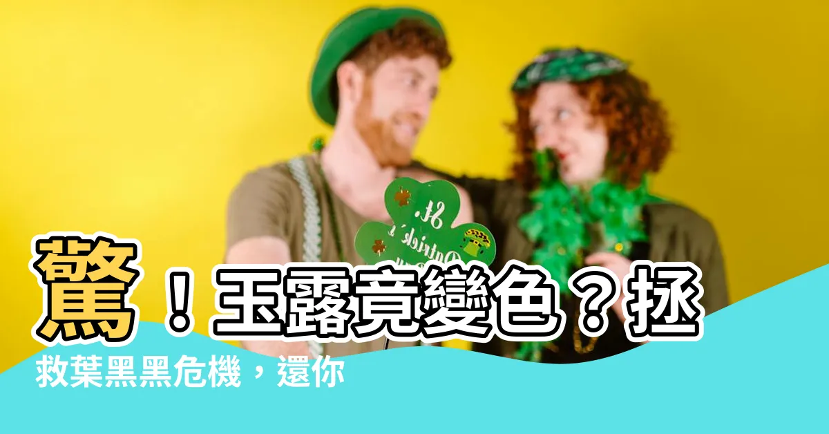 【玉露變色】驚！玉露竟變色？拯救葉黑黑危機，還你透亮美玉