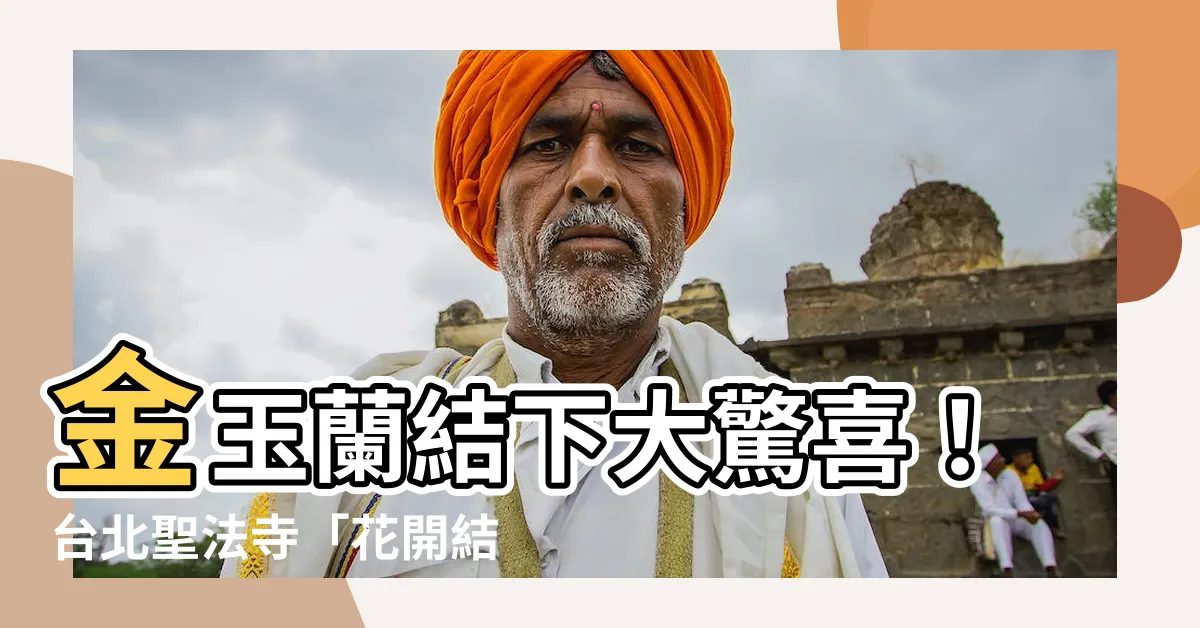 【金玉蘭結果】金玉蘭結下大驚喜！台北聖法寺「花開結果」！