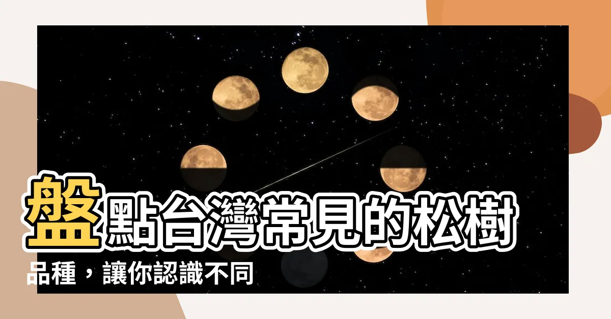 【松樹品種】盤點台灣常見的松樹品種，讓你認識不同的松樹之美