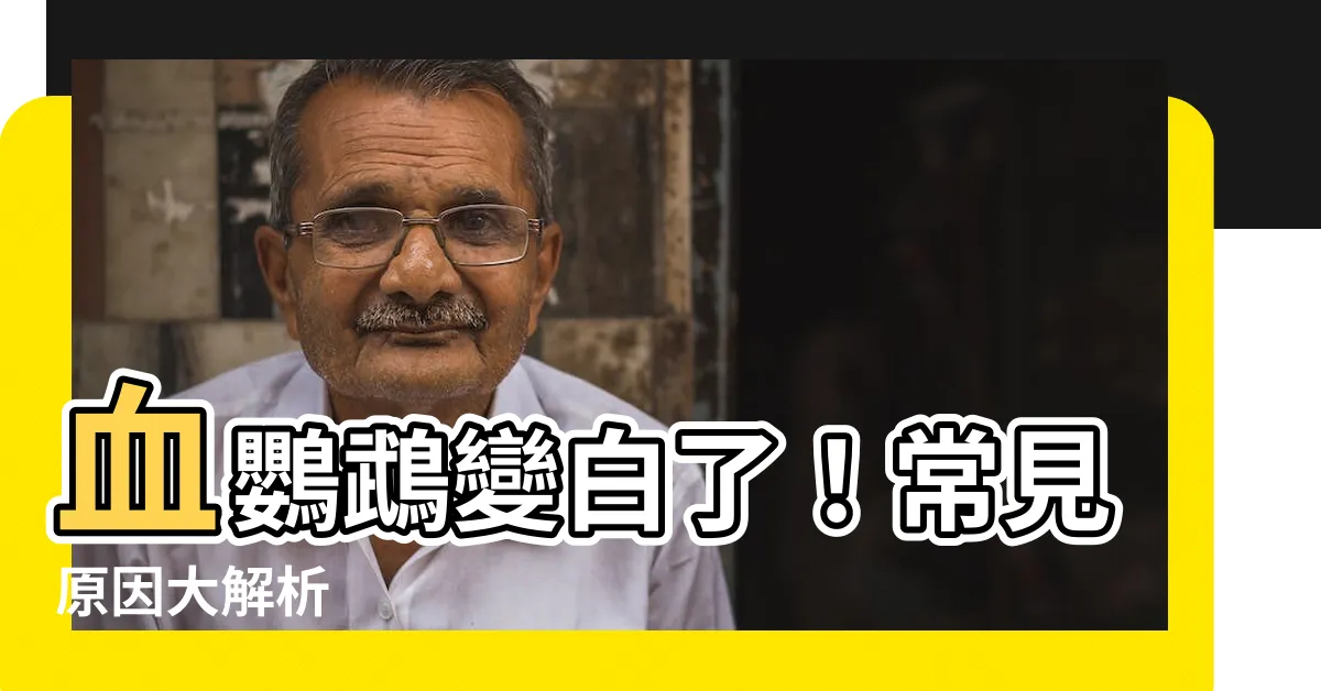 【血鸚鵡變白】血鸚鵡變白了！常見原因大解析