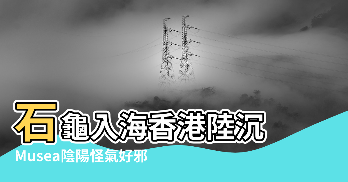 【香港英國烏龜風水】石龜入海香港陸沉 |Musea陰陽怪氣好邪 |養烏龜與風水注意事項 |