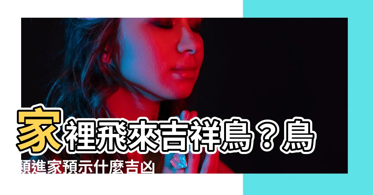 【家裡飛來鳥】家裡飛來吉祥鳥？鳥類進家預示什麼吉凶福禍？