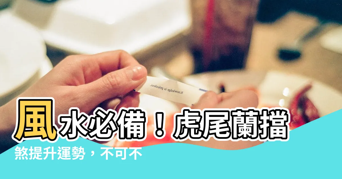 【虎尾蘭 擋煞】風水必備！虎尾蘭擋煞提升運勢，不可不知的風水綠意！