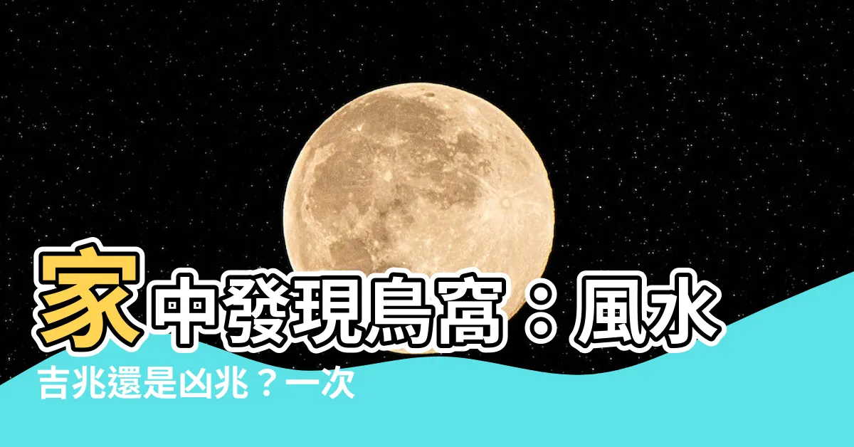 【家裏有鳥窩好嗎】家中發現鳥窩：風水吉兆還是凶兆？一次瞭解各種説法！