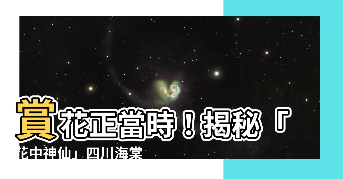 【海棠開花】賞花正當時！揭秘「花中神仙」四川海棠的最佳觀賞期