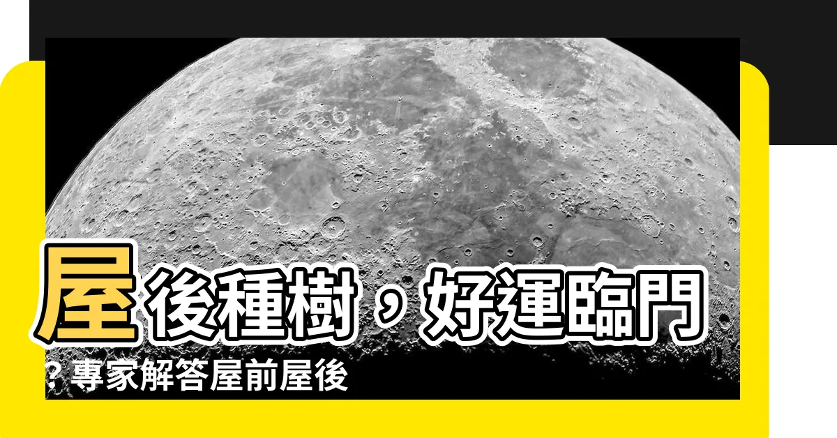 【屋後種樹】屋後種樹，好運臨門？專家解答屋前屋後的樹木風水禁忌