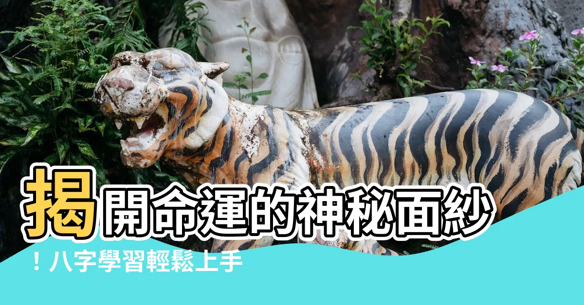 【八字學習】揭開命運的神秘面紗！八字學習輕鬆上手，掌握人生走向