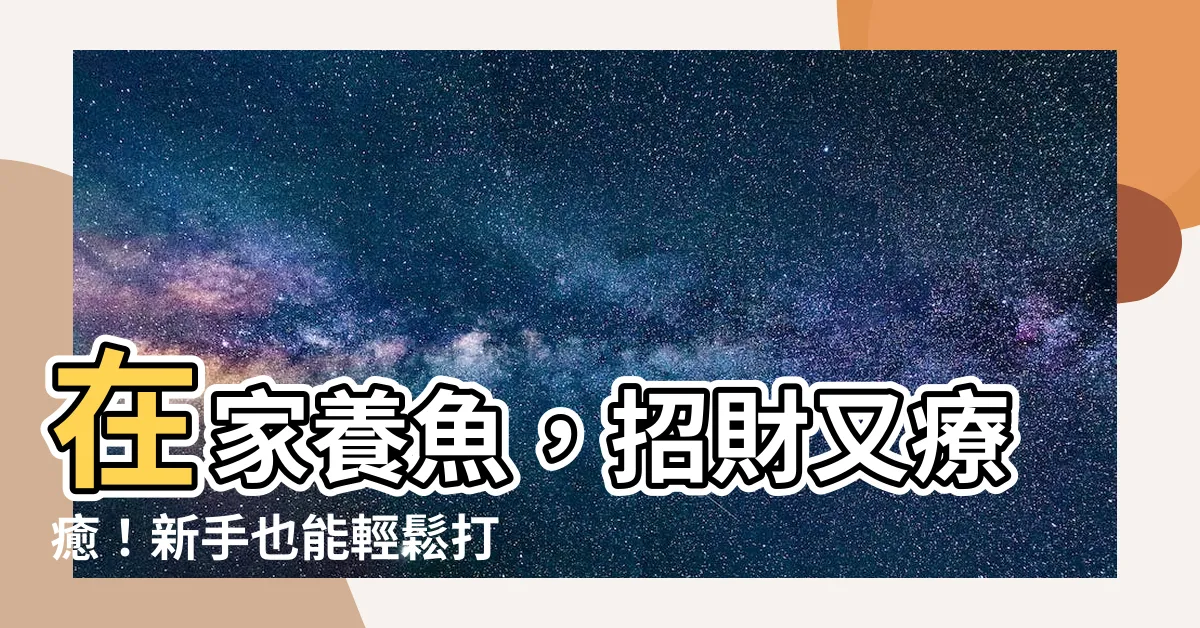 【在家養魚】在家養魚，招財又療癒！新手也能輕鬆打造「風水好運水族箱」