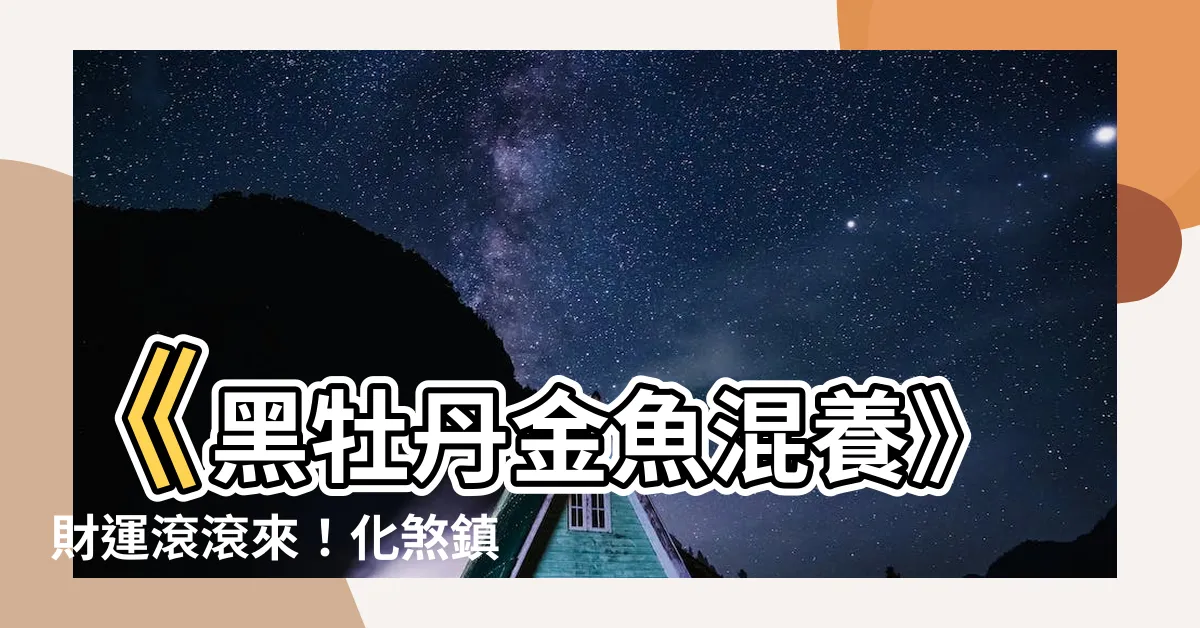【黑牡丹金魚混養】《黑牡丹金魚混養》財運滾滾來！化煞鎮宅、賞魚好運都兼得！