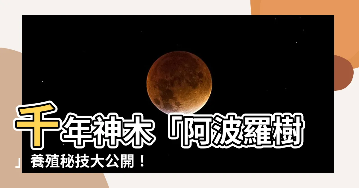 【阿波羅樹】千年神木「阿波羅樹」養殖秘技大公開！