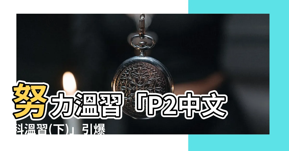 【努力温習】努力温習「P2中文科温習(下)」引爆CH.9 高分攻略