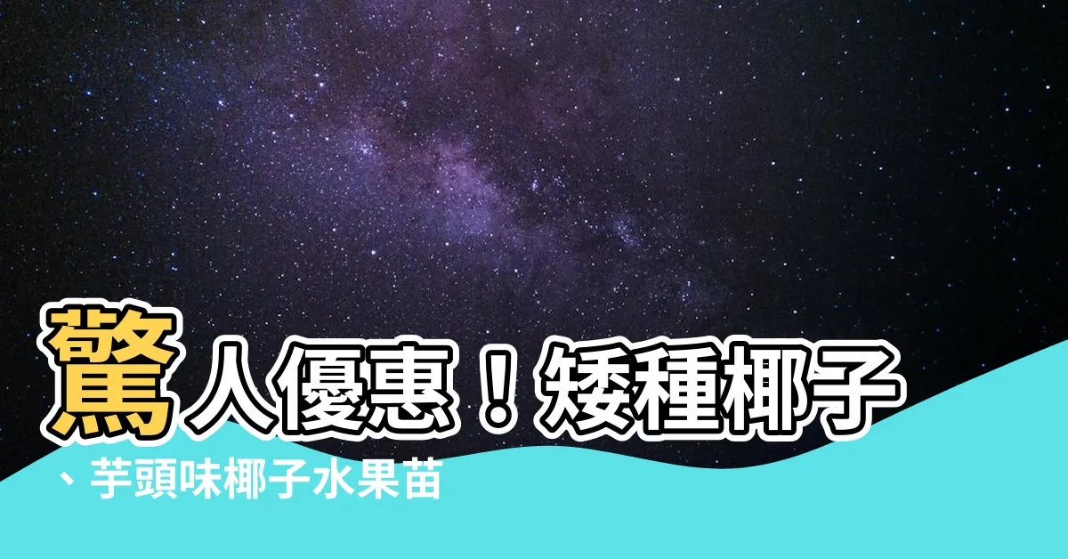 【矮種椰子】驚人優惠！矮種椰子、芋頭味椰子水果苗，超實惠價格等你帶回家！