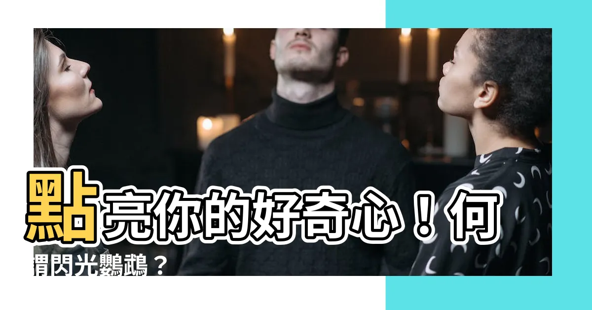 【何謂閃光鸚鵡】點亮你的好奇心！何謂閃光鸚鵡？