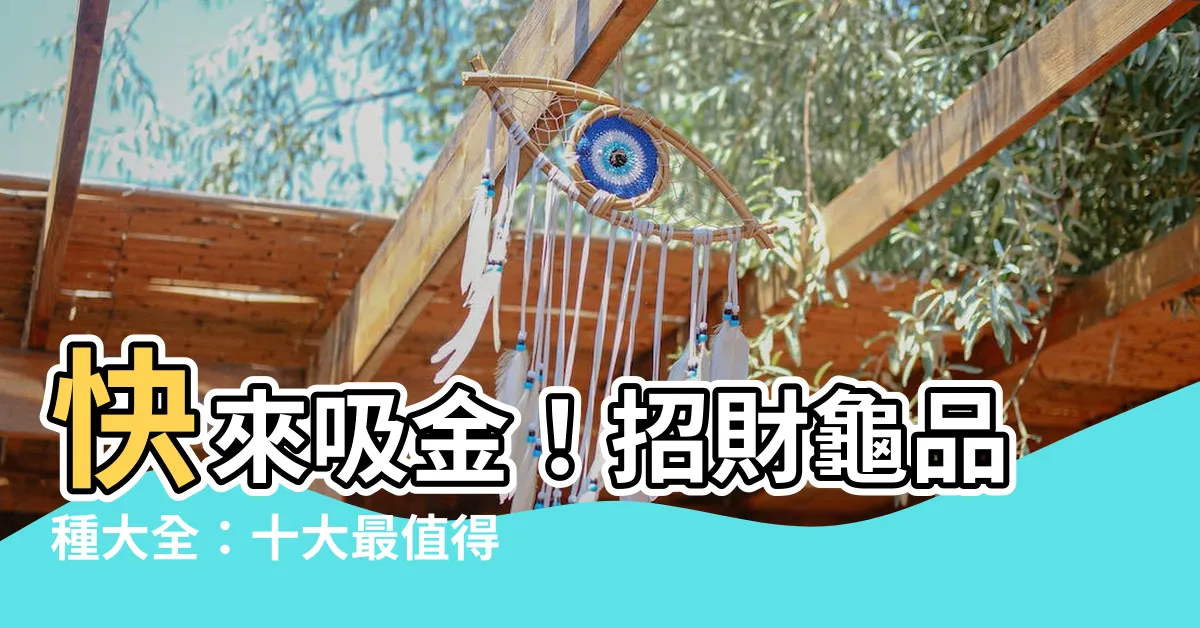【招財龜品種】快來吸金！招財龜品種大全：十大最值得養的龜，招財又鎮宅
