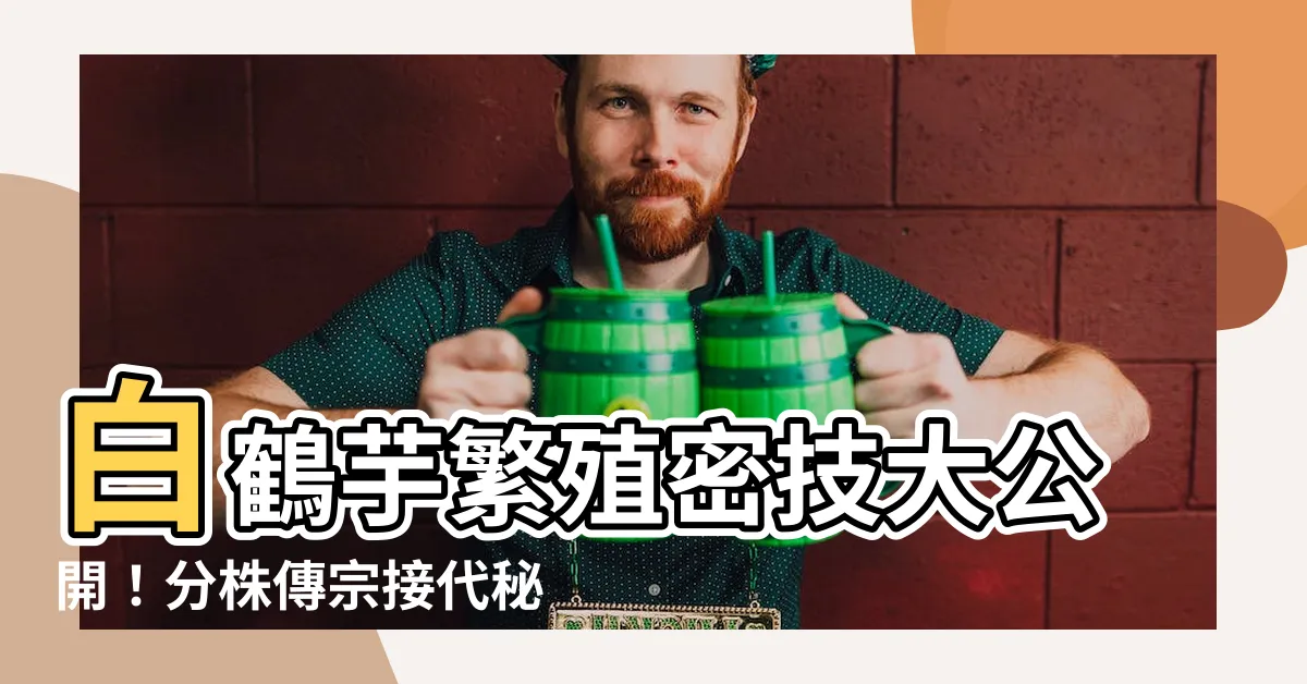 【白鶴芋分株】白鶴芋繁殖密技大公開！分株傳宗接代秘訣一把罩