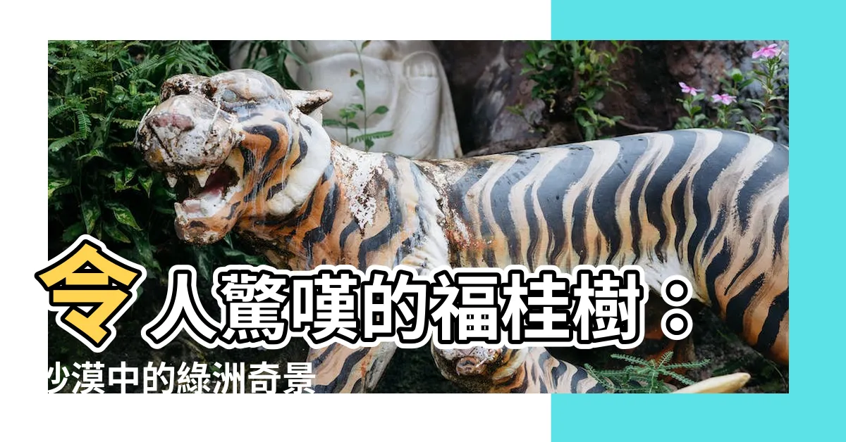 【福桂樹】令人驚嘆的福桂樹：沙漠中的綠洲奇景