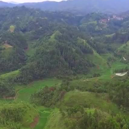 4.庭院假山的風水要注意什麼