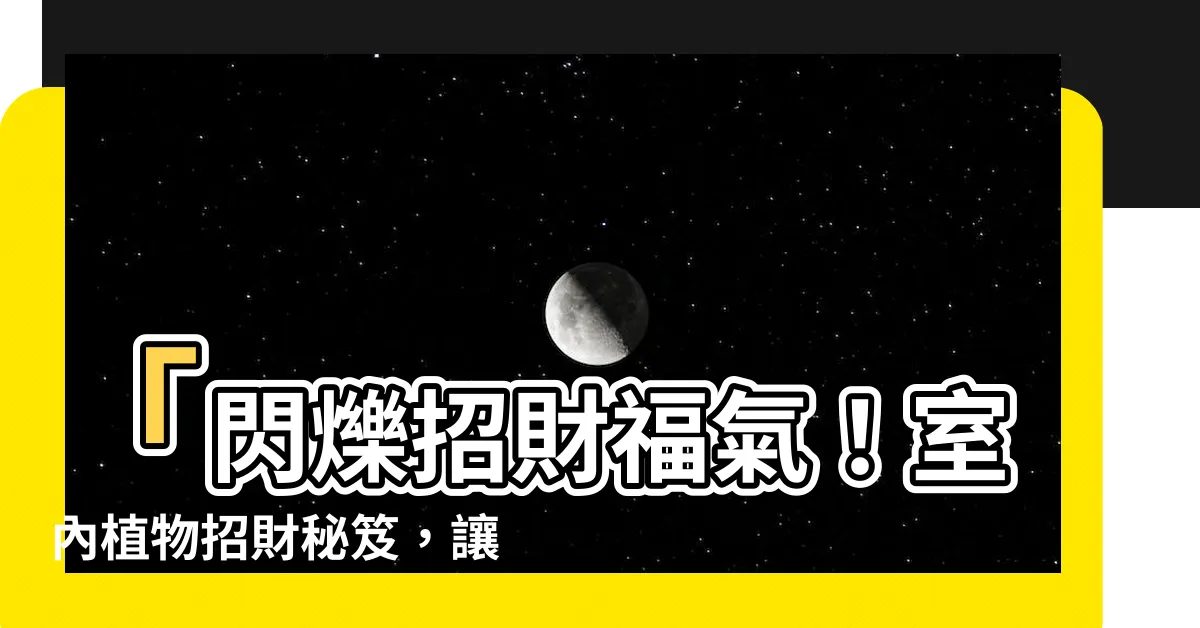 【室內植物招財】「閃爍招財福氣！室內植物招財秘笈，讓財運滾滾來」