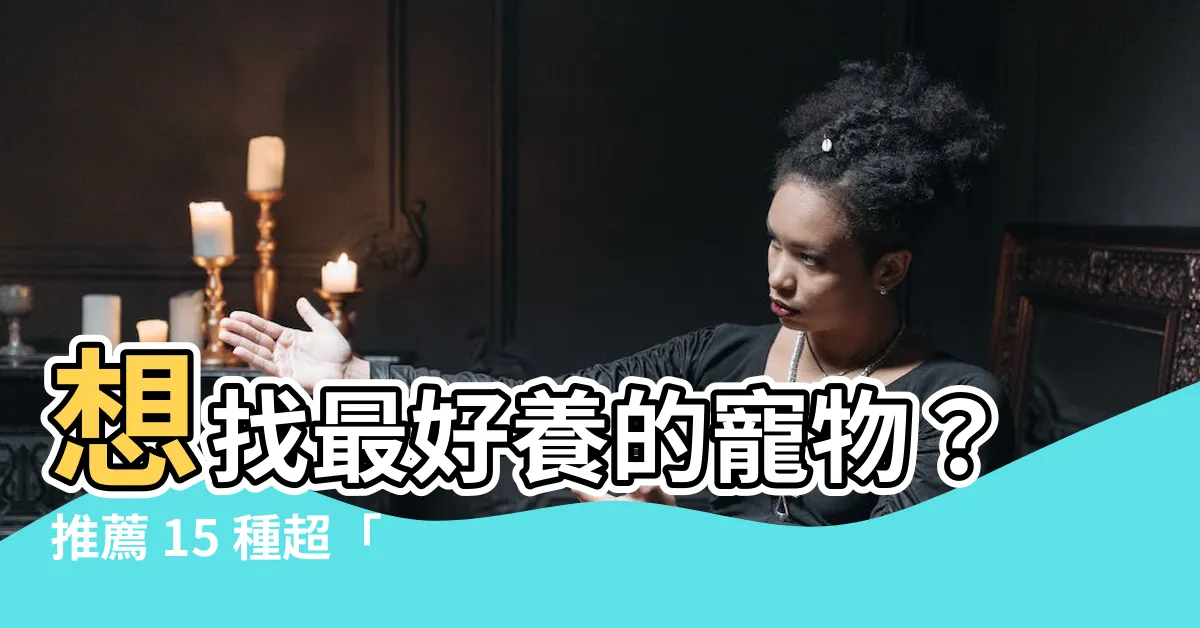 【哪種寵物最好養】想找最好養的寵物？推薦 15 種超「不麻煩」的人氣寵物