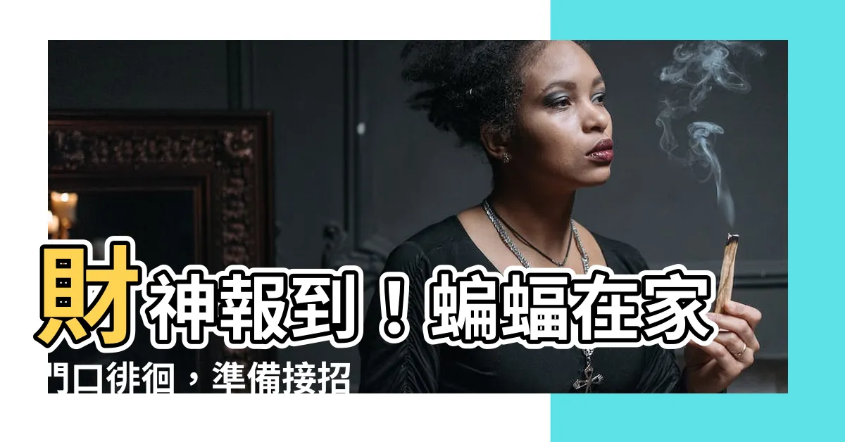 【蝙蝠在家門口】財神報到！蝙蝠在家門口徘徊，準備接招「財運滿滿」！