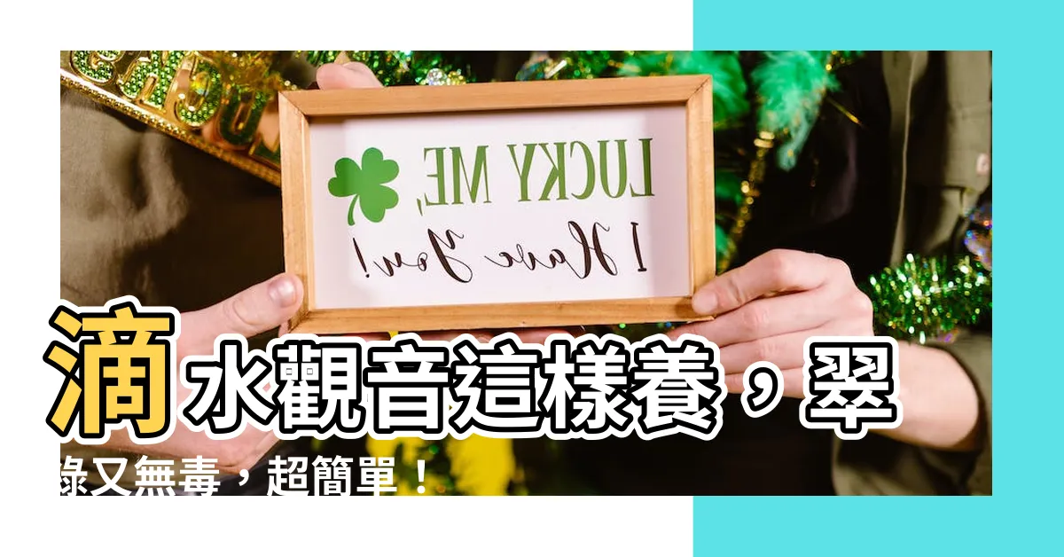 【滴水觀音怎麼養】滴水觀音這樣養，翠綠又無毒，超簡單！