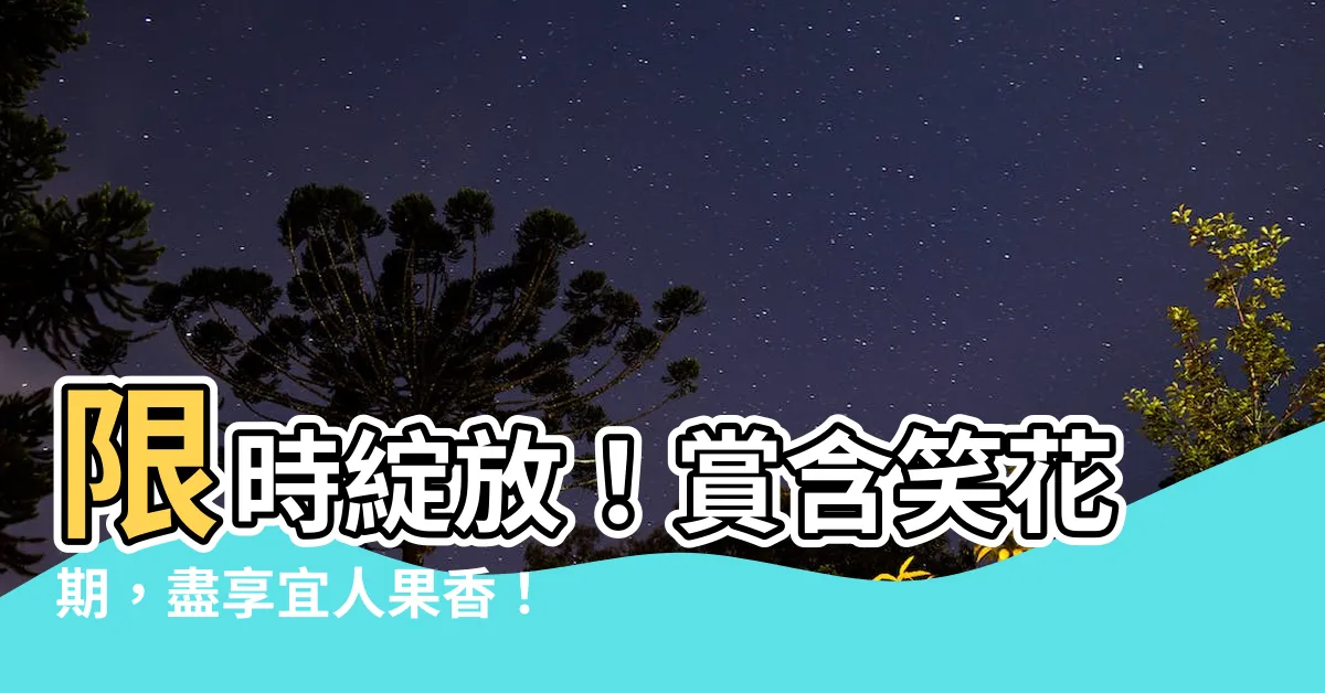 【含笑花期】限時綻放！賞含笑花期，盡享宜人果香！