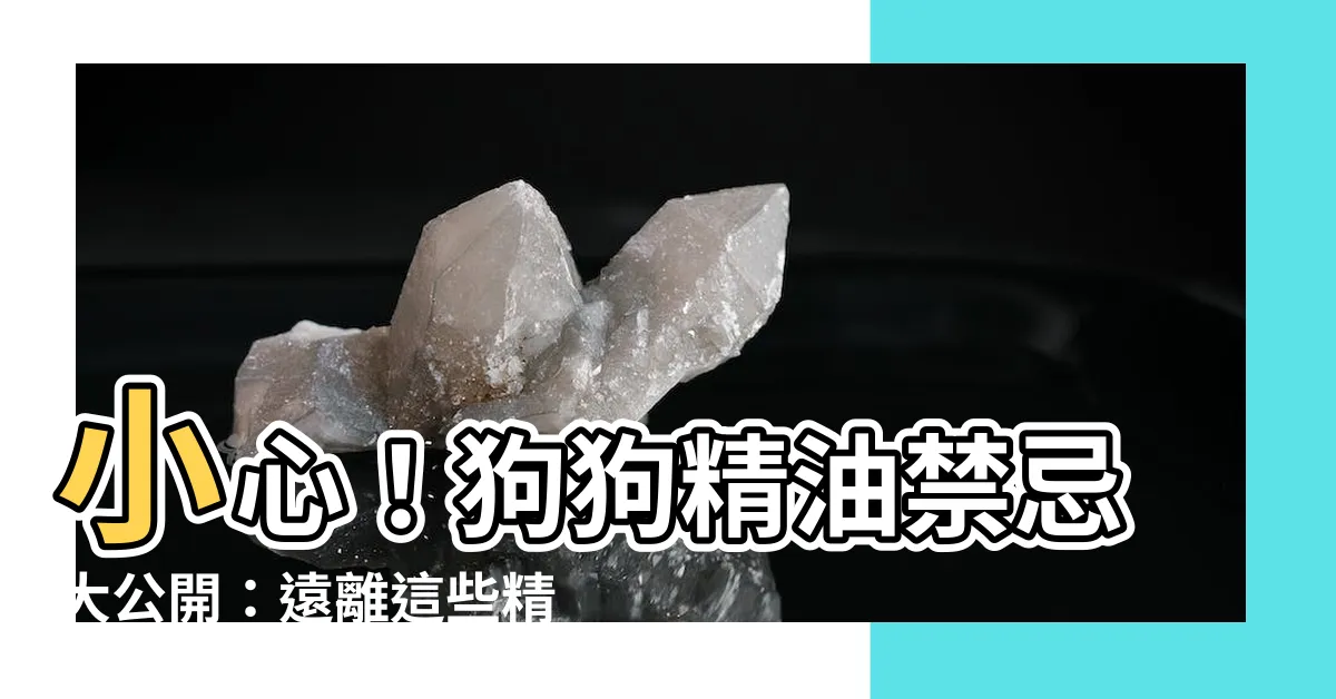 【狗狗精油禁忌】小心！狗狗精油禁忌大公開：遠離這些精油，守護毛小孩健康