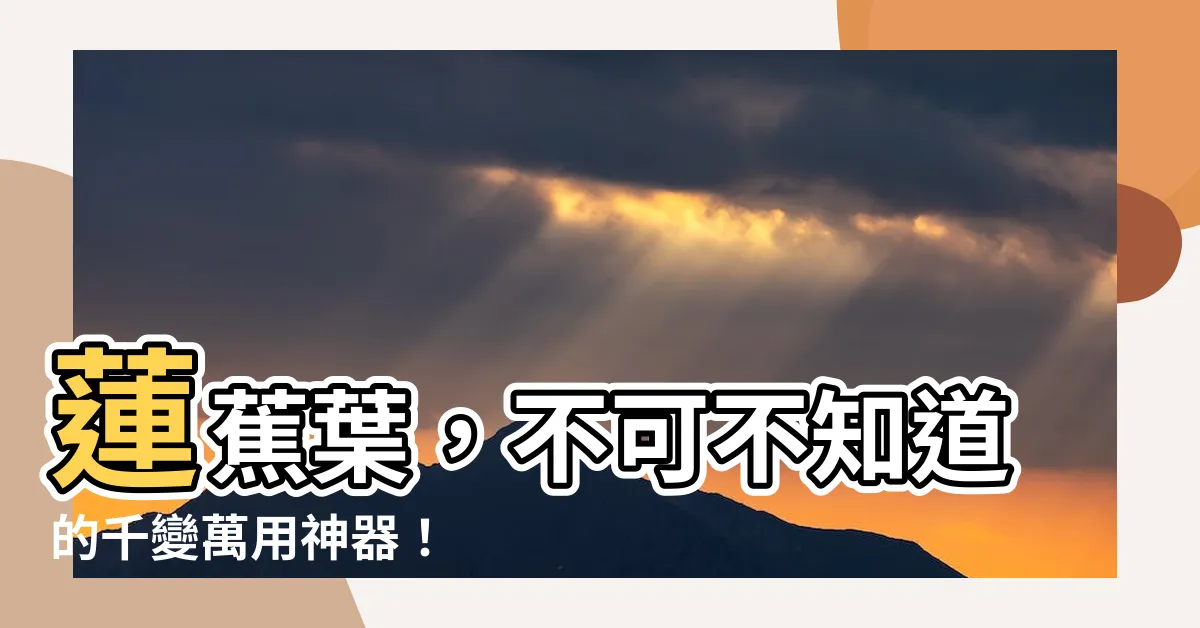 【蓮蕉葉用途】蓮蕉葉，不可不知道的千變萬用神器！