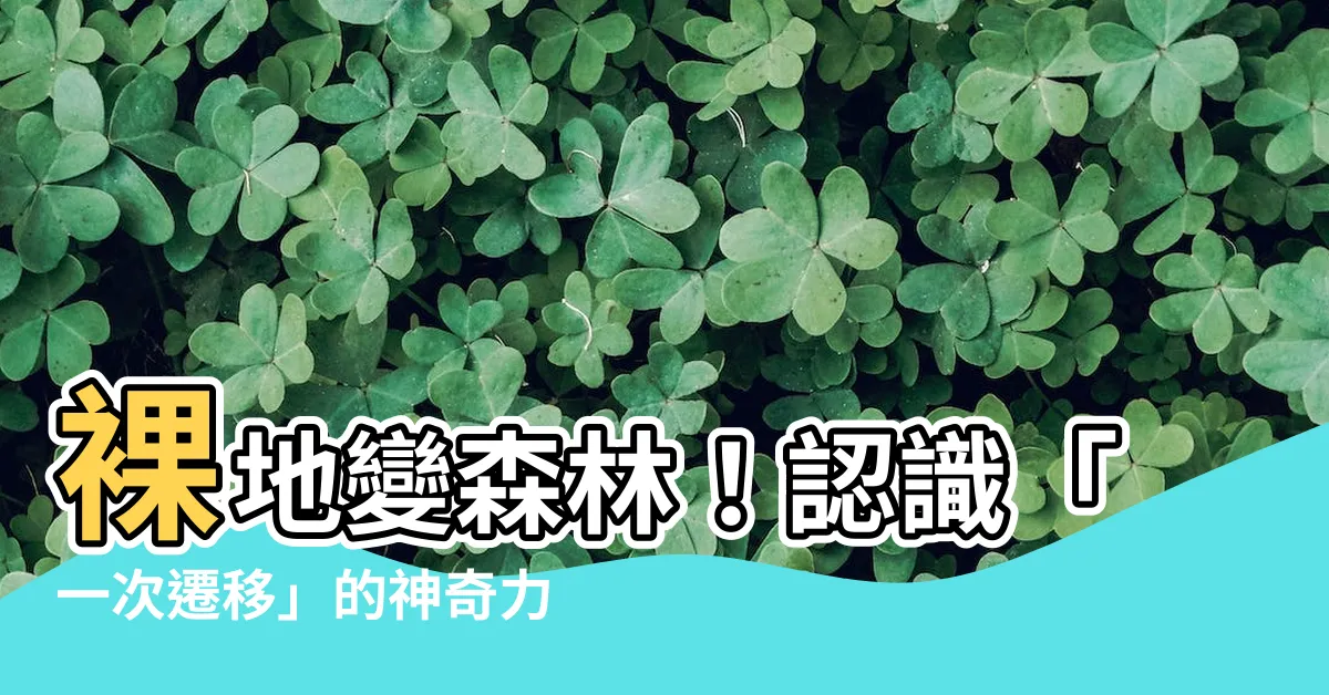 【一次遷移】裸地變森林！認識「一次遷移」的神奇力量