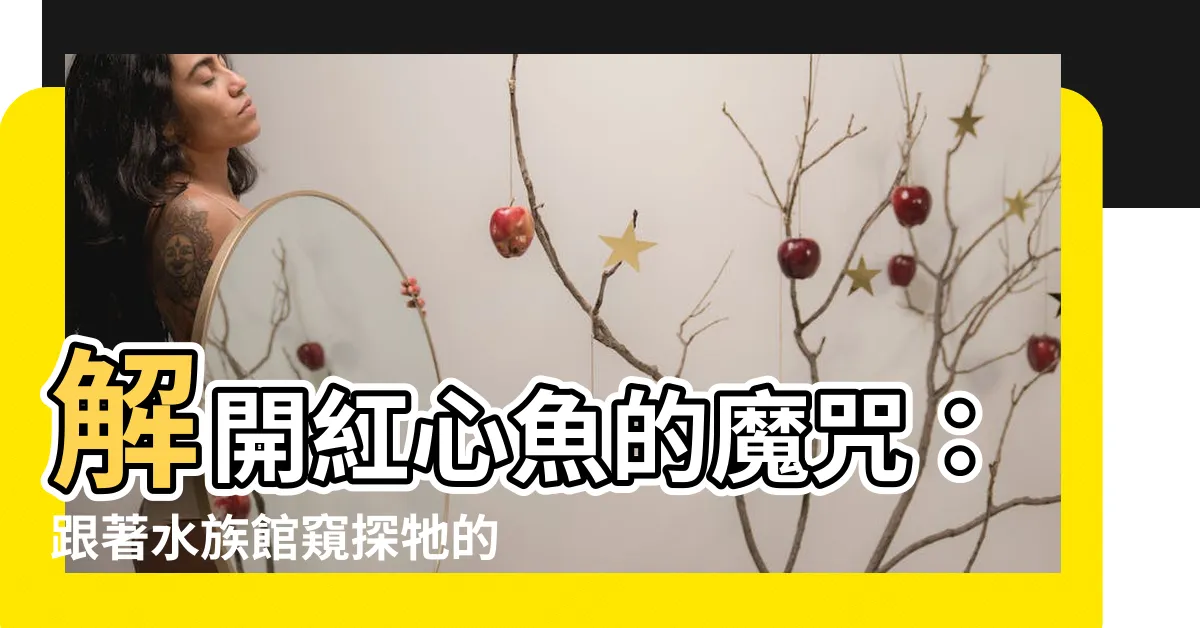 【紅心魚的魔咒解答】解開紅心魚的魔咒：跟著水族館窺探牠的神秘世界！