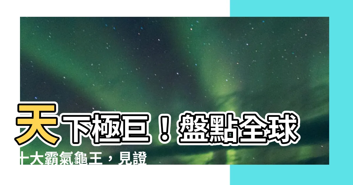【大龜品種】天下極巨！盤點全球十大霸氣龜王，見證披甲巨怪驚人體魄