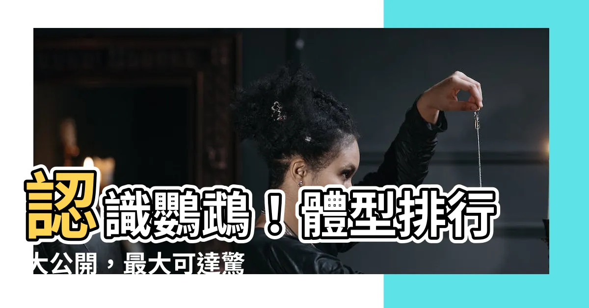 【鸚鵡體型排行】認識鸚鵡！體型排行大公開，最大可達驚人尺寸