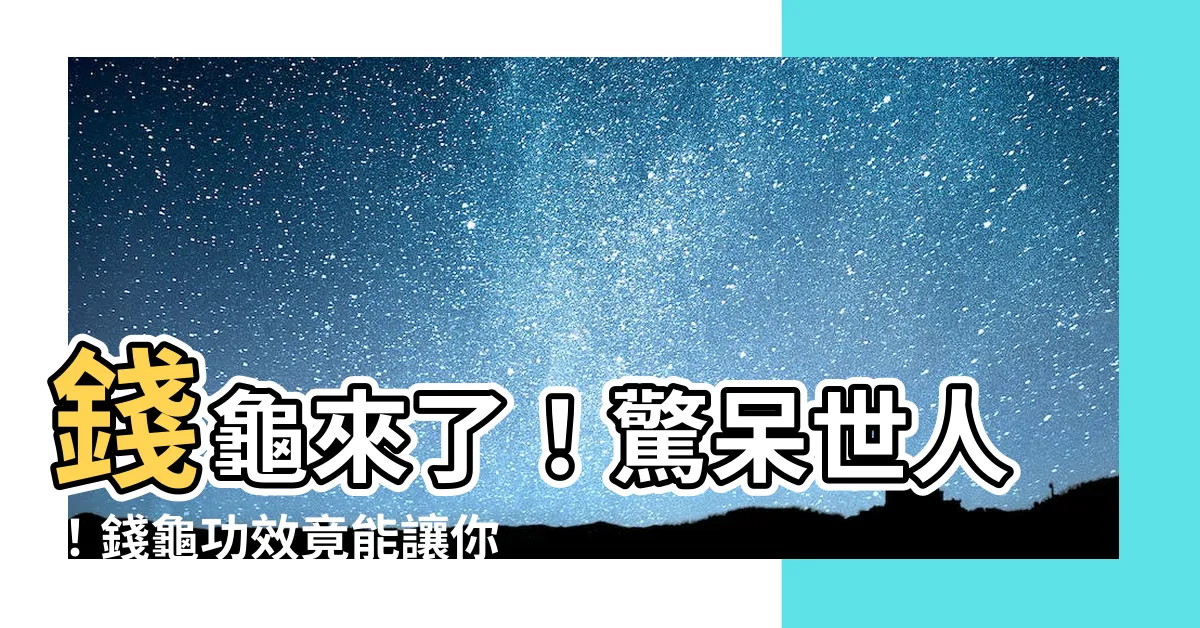 【錢龜功效】錢龜來了！驚呆世人！錢龜功效竟能讓你錢財滿貫！
