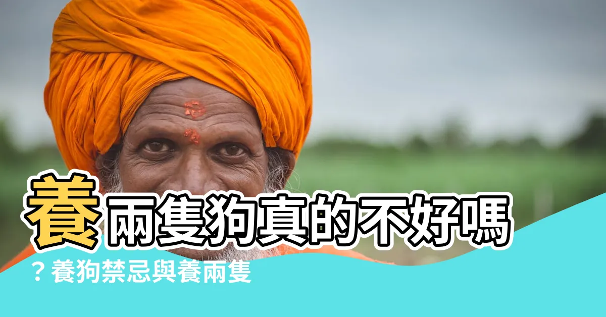 【養兩隻狗 真 的 不 好 嗎】養兩隻狗真的不好嗎？養狗禁忌與養兩隻狗前的必備認知