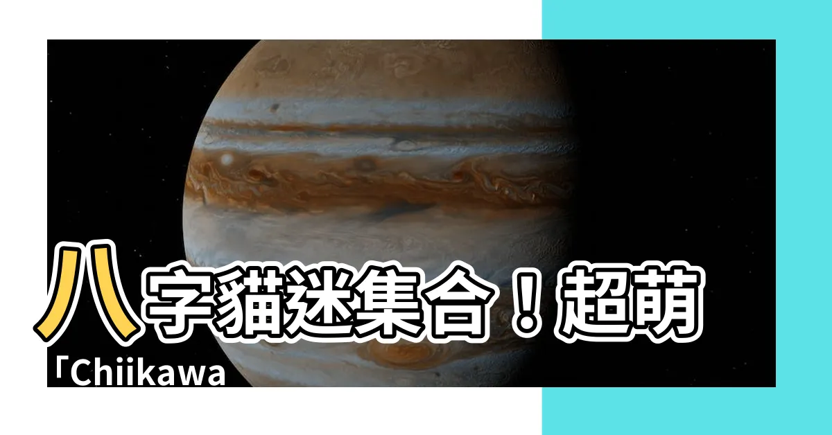 【八字貓】八字貓迷集合！超萌「Chiikawa」周邊玩具與遊戲這裡找