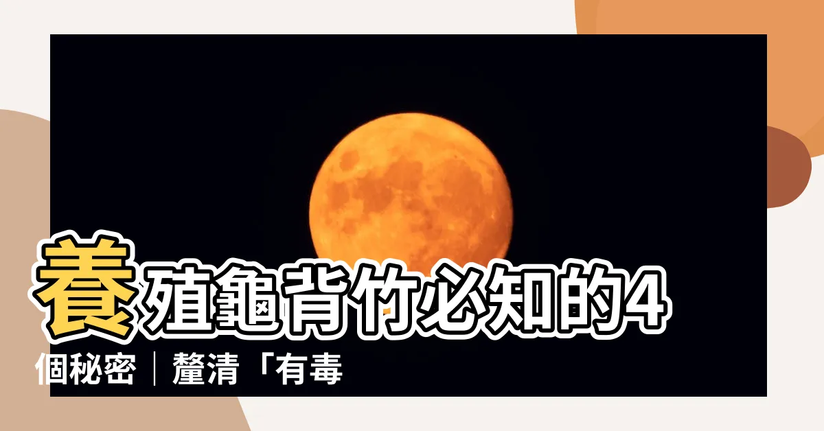 【龜背竹】養殖龜背竹必知的4個秘密｜釐清「有毒」迷思！