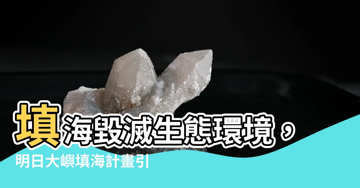 【填海壞處】填海毀滅生態環境，明日大嶼填海計畫引發三大爭議