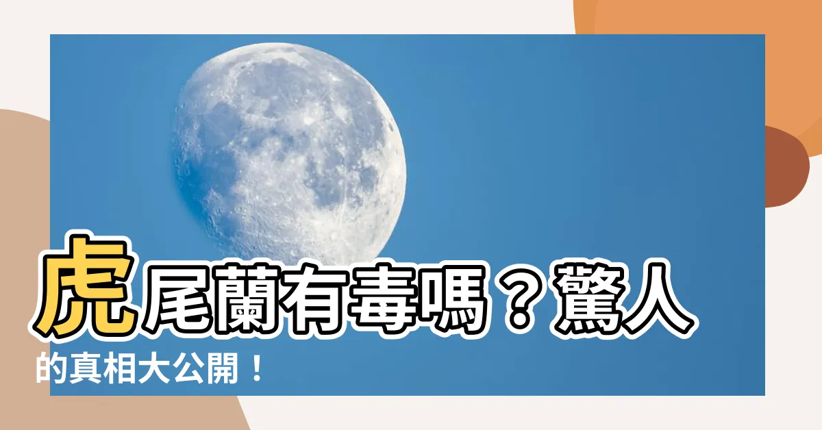 【虎尾蘭有毒嗎】虎尾蘭有毒嗎？驚人的真相大公開！