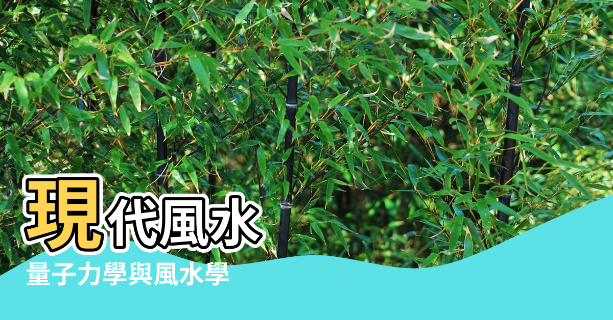 【風水量子學】現代風水 |量子力學與風水學 |風水新理念 |