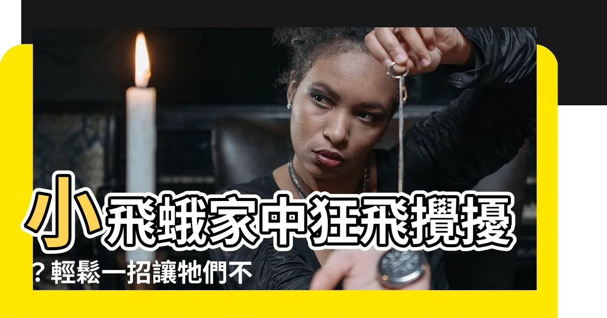 【小飛蛾 家中】小飛蛾家中狂飛攪擾？輕鬆一招讓牠們不再孳生！