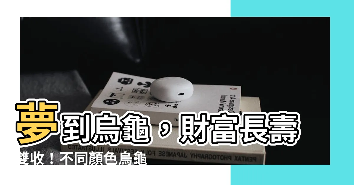 【夢到ㄨ龜】夢到烏龜，財富長壽雙收！不同顏色烏龜，竟有不同含義？