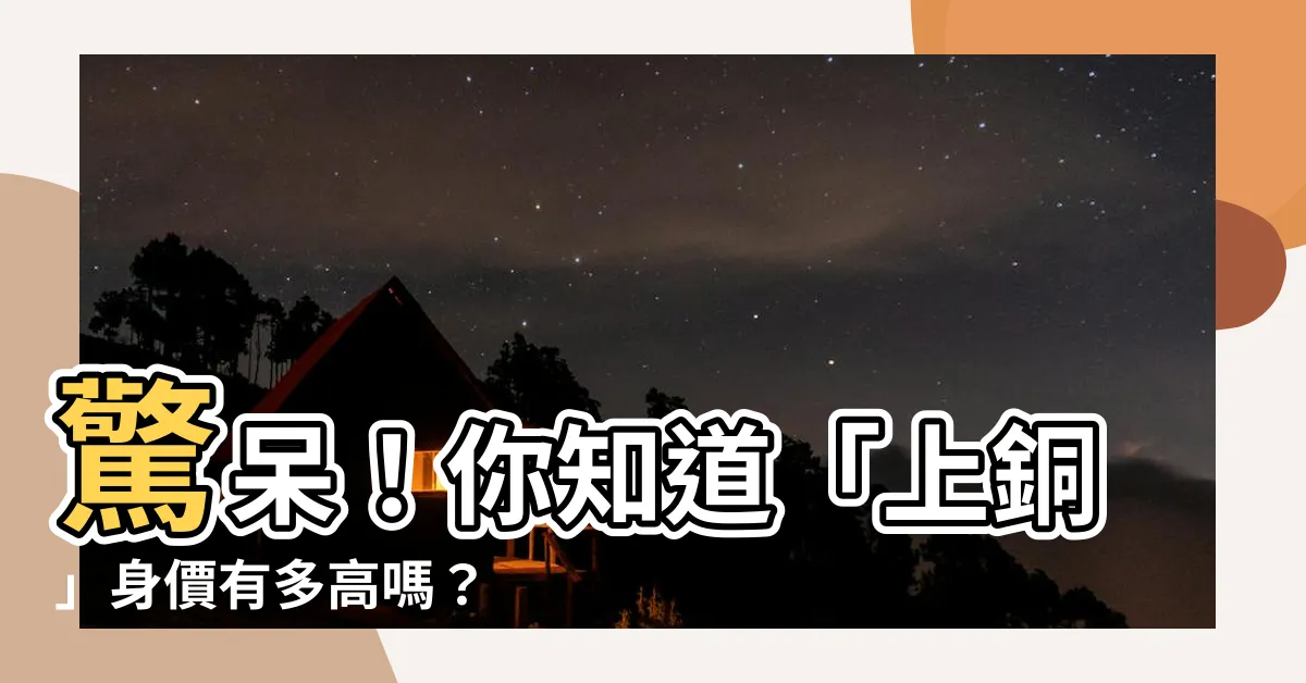 【上銅】驚呆！你知道「上銅」身價有多高嗎？