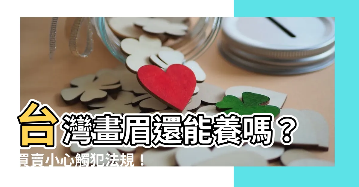 【畫眉鳥可以養嗎】台灣畫眉還能養嗎？買賣小心觸犯法規！