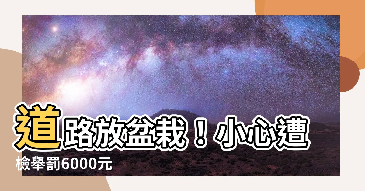 【道路放盆栽】道路放盆栽！小心遭檢舉罰6000元
