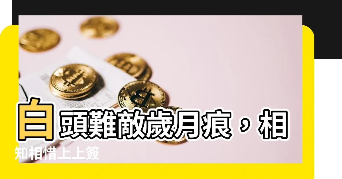 【白頭並非雪可替 相識已是上上籤】白頭難敵歲月痕，相知相惜上上簽