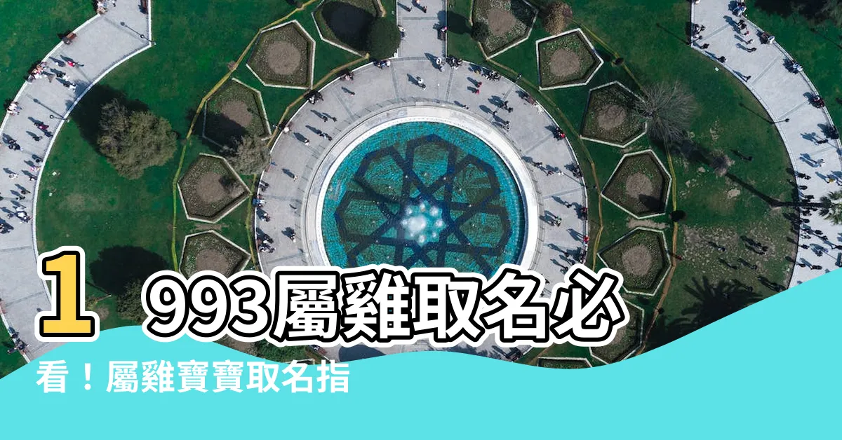 【1993屬雞取名】1993屬雞取名必看！屬雞寶寶取名指南、喜忌用字大公開