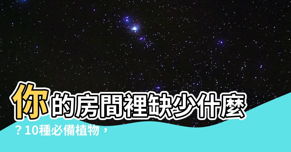 【房間適合的植物】你的房間裡缺少什麼？10種必備植物，打造健康淨化空間